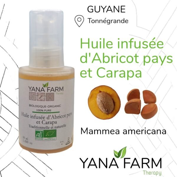 Huile d' Abricot pays et Carapa