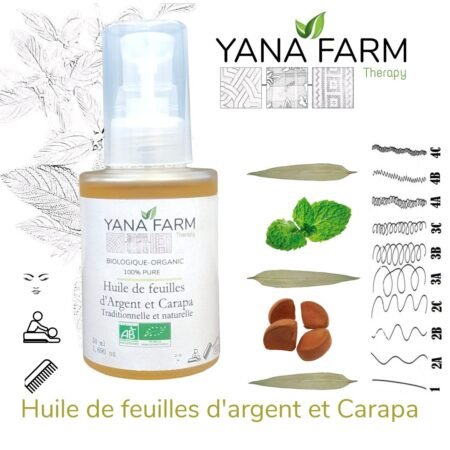 Huile de feuilles d'argent et Carapa