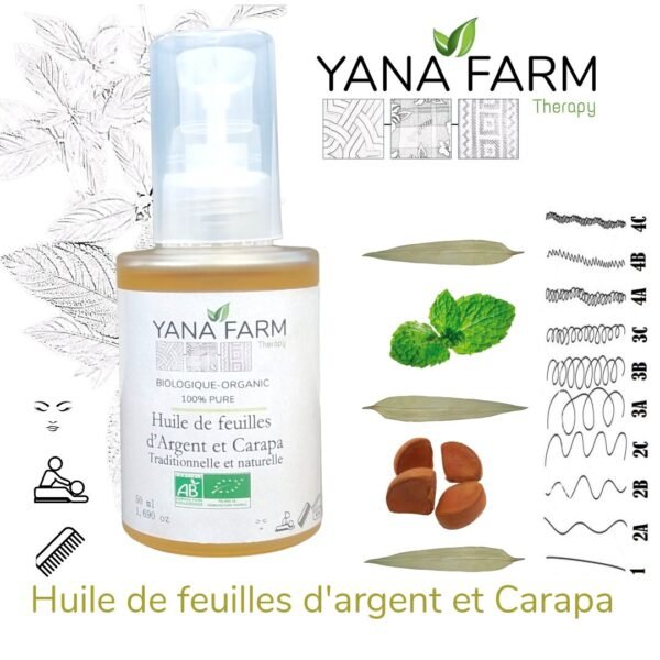 Huile de feuilles d'argent et Carapa
