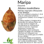 Baume à lèvres au beurre de Maripa et Parépou – Image 3