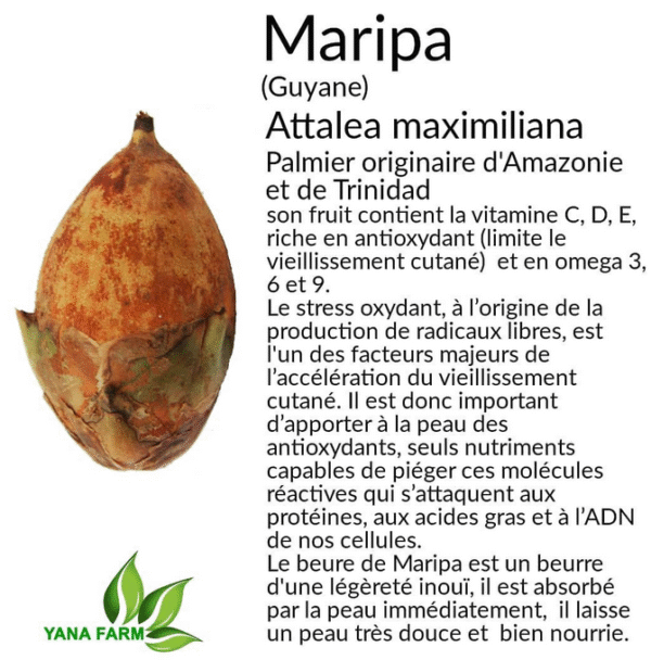 Baume à lèvres au beurre de Maripa et Parépou – Image 3