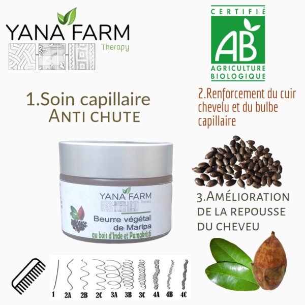 Beurre de Maripa/bois d'Inde/Pamakristi