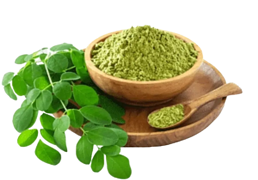 Beurre de maripa, waséy et moringa – Image 2